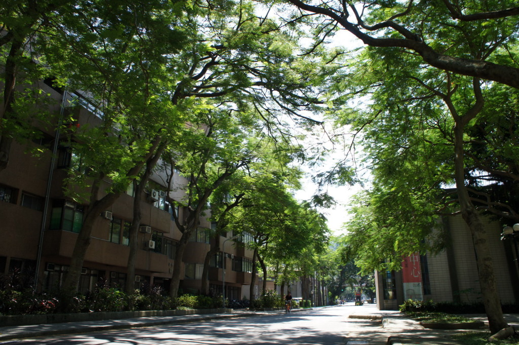 SONY DSC