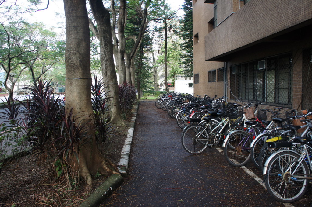 SONY DSC