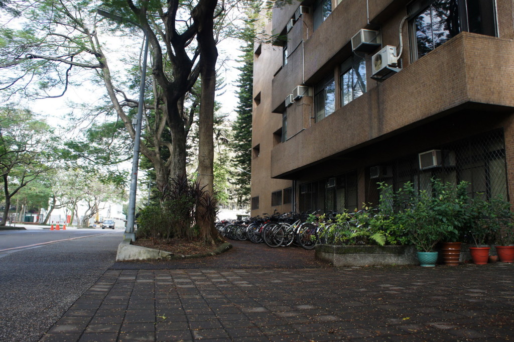 SONY DSC